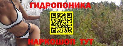 мдма Краснознаменск