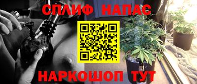 мдма Краснознаменск