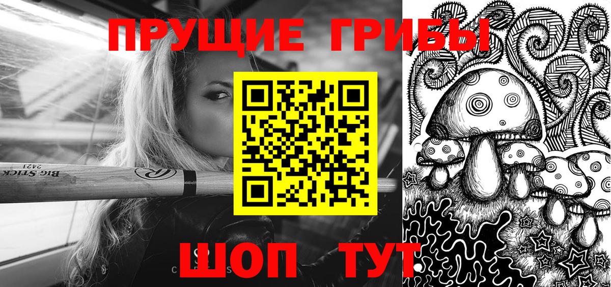 Псилоцибиновые грибы GOLDEN TEACHER  Псилоцибиновые грибы мицелий  Вход с VPN  Элиста 