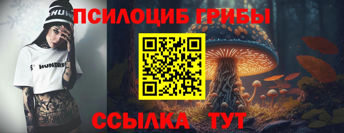 Галлюциногенные грибы Cubensis Элиста